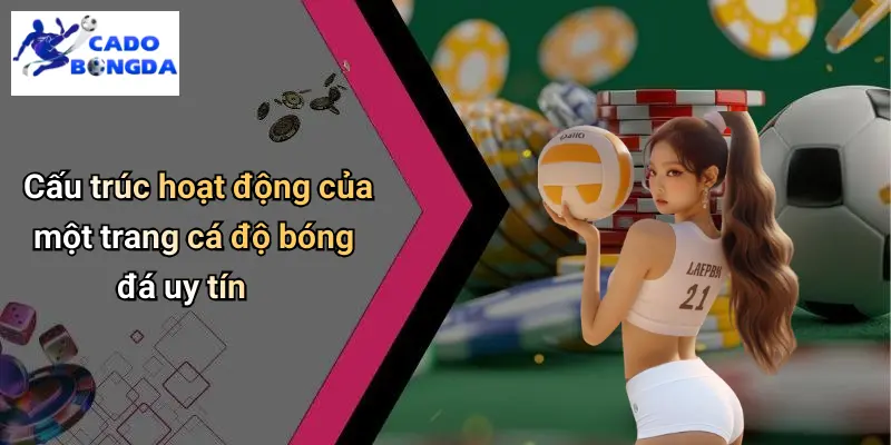 Cá Độ Bóng Đá
