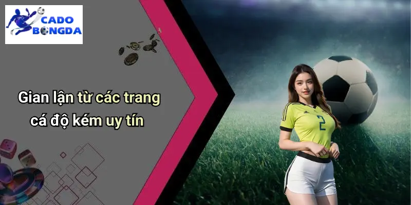 Cá Độ Bóng Đá